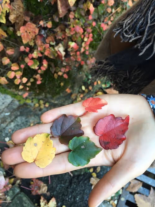 Item #92544727029022936134006141322345390231441210536975119082290419927626794663937 Media