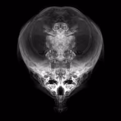 85859191866638808365331437874953228966785819470149775310971063165858854469633