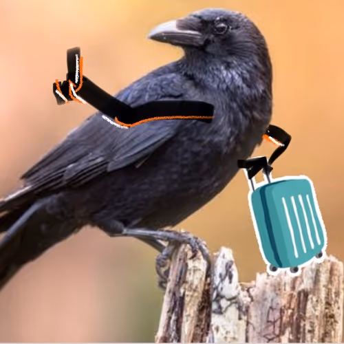 Item #109675299844138908130345288842380091015434126869171858984097083526093190725633 Media