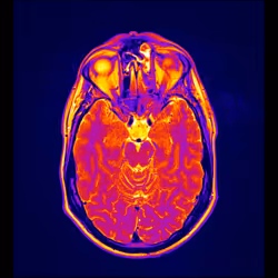 64162533542198579898252916190583583845604629893829087458582976232876157173761