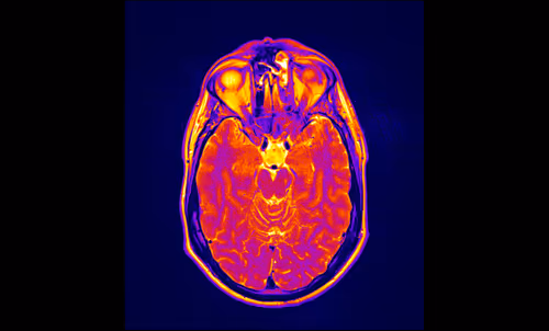 Item #64162533542198579898252916190583583845604629893829087458582976232876157173761 Media