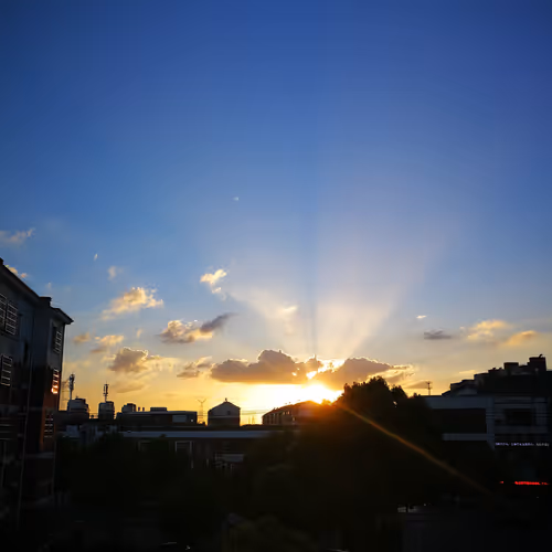 Untitled Collection #62512265