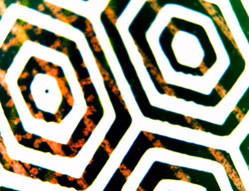 Item #71646257518770613568983710813551014237803002136866425209291833961422889418753 Media