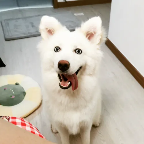 Item #11589634007344310346073007191394288969191527375593807410073591598317448462337 Media