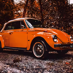 Orange Pill - #042