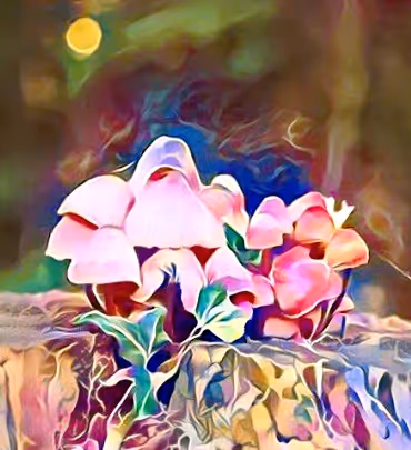 Item #98828088198769885069129805652987605738903563667474416042030428839006563205121 Media