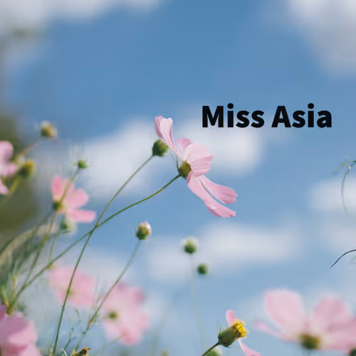 missasia.eth Ethereum Name Service (ENS and .eth domain) PFP