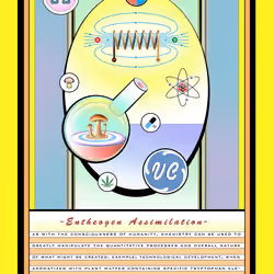 Entheogen Assimilation