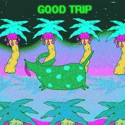 BOBO TRIP [Collab]