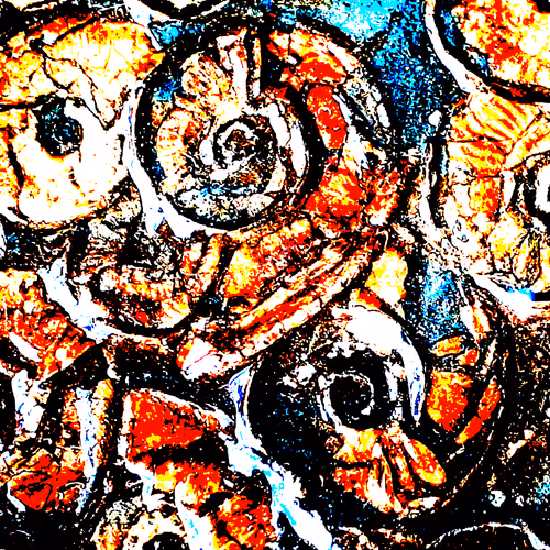 Jesamine James' Ammonites