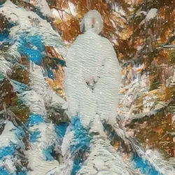 Snow Swan