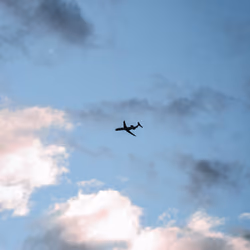 Contrast Flight