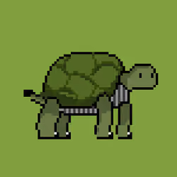 Turtle #055