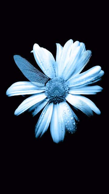 Item #5541180257716613487607775748068519517975041335985604767375996053542989201409 Media