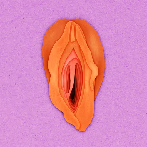 Item #83469337007199017734157032909695619947256388016886346874491258711380984856577 Media