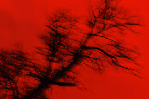 Item #65727344591356369199743943126527535922219131685413578878860768157809007132673 Media