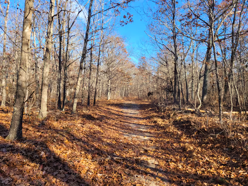 Item #34085441569699423005310991372941828806155687762378495952169943219766057500673 Media