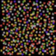45599701553640935068283671432407933371774735518084431061946003484729053020161