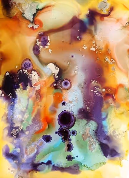 Item #69449963922852364954711310792896673656328996602100154013881719606929868718085 Media