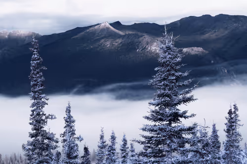 Item #62001089897654043678582796294711651900724303774679820814799839846667365908481 Media