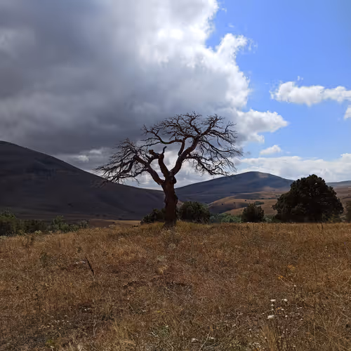 Untitled Collection #62507424