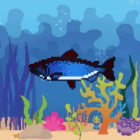 Item #78964944229926021655968168462037545876501657311134209832205588399935878856705 Media