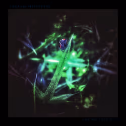 3787080761074609709675817509753112159059746763483256848434353600677361483781