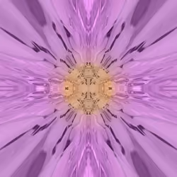 Meta Vision 