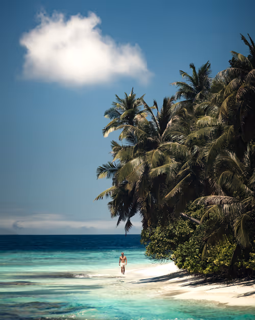 Item #14416656700475663864726672344569766568452912279528818547653479138428215885825 Media