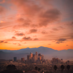 Something About Cali #83
