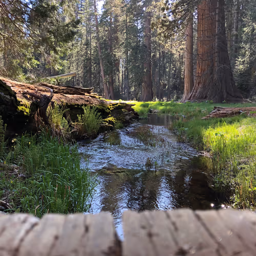 Untitled Collection #103033370 - old