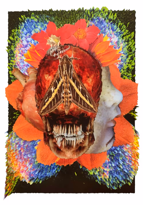 Item #109156396159921819544977758369102320145302531994816138124186017704034539933600 Media