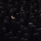 42184411502650685975101726996394116480689959878451723562169759536773473501185