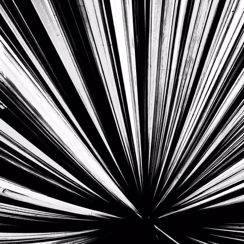 Item #72348564083927579296294709524659638774248671512302450229374812344224300662785 Media