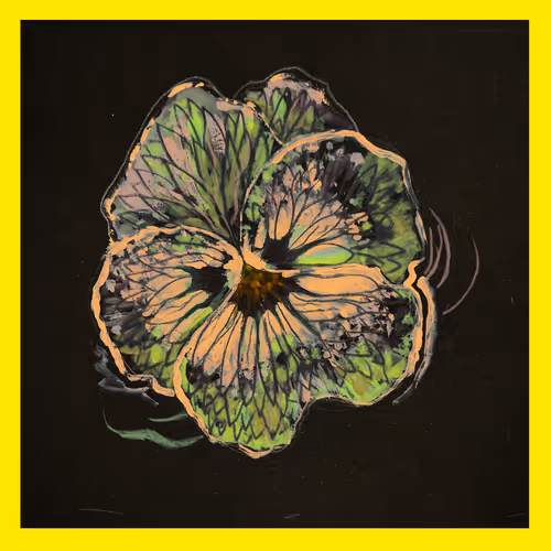 5779281467826994107992422148601232503379904017104496064971971887911520960513