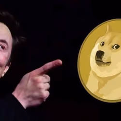 Dogelon Musk 