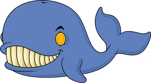 Bitcoin Whale