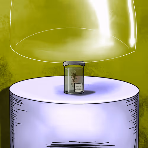 Item #24676067168319247841047234120788951702981957427274227053484940234241408499713 Media