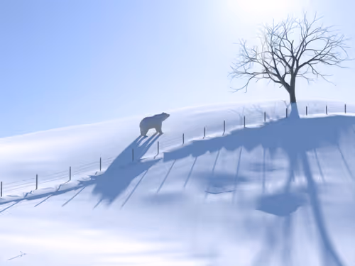 Item #84332402268587537601045461839422046082823400263397218510562674107153245011969 Media