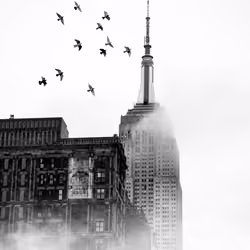 Freedom x Art 1