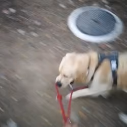 He is unchained