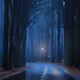 - Many Worlds -