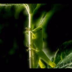 112000724350228495474711911108130364376243231564197861893917060221213081610