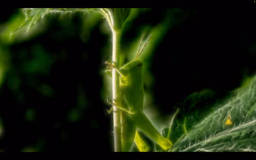 Item #112000724350228495474711911108130364376243231564197861893917060221213081610 Media