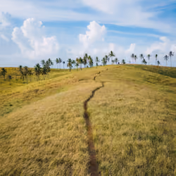 #14 Siargao Island Trails