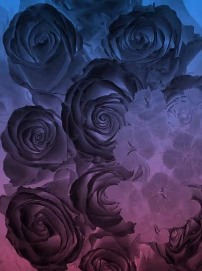 Item #87095977270227967051610380023375735428214688189489313843568760380177938120705 Media