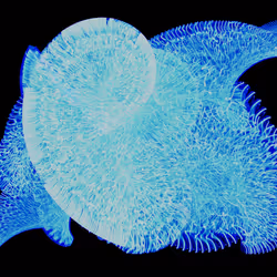 45731211464929816441170859700976373292149702980452148839612469053462191013889