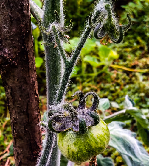 Item #113418327815807446827021391379649323725722051535580646896237301400700937306282 Media