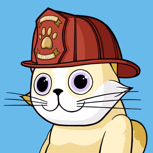 Michi Cat #0220