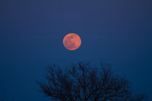 Item #42729861163771567341829383527928804346395504849525264536095462044295418085377 Media